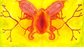 Blooderfly